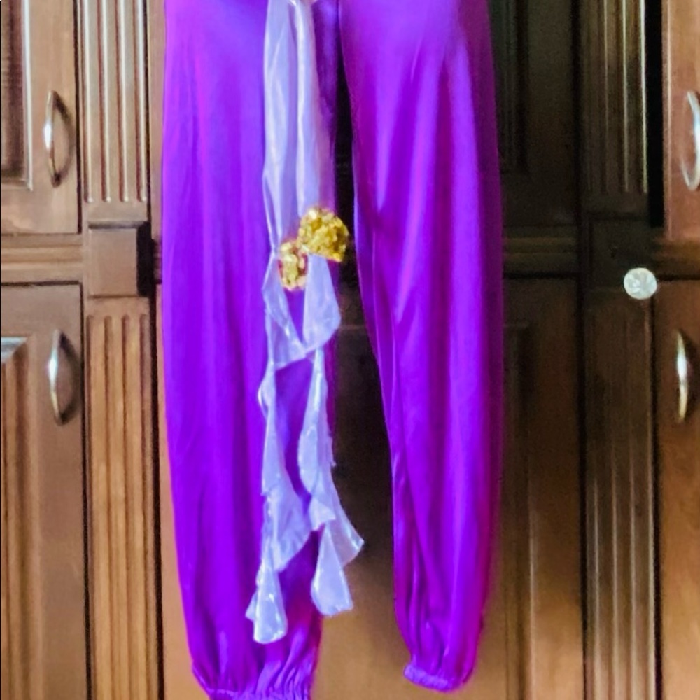 Belly Dancing Costume size large - Picture 3 of 5